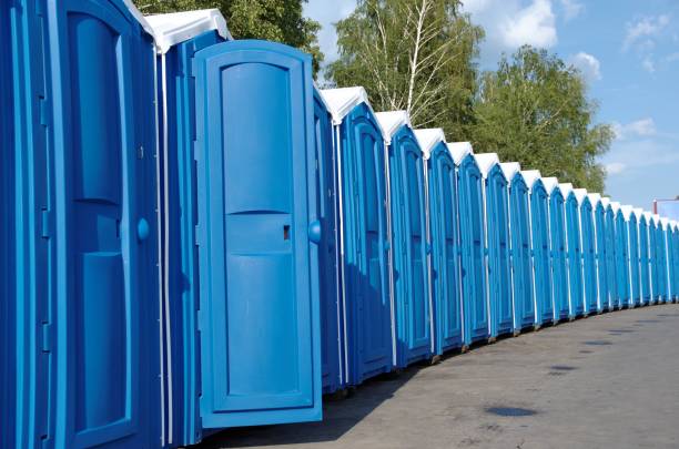 Portable Toilet Options We Offer in Tomah, WI